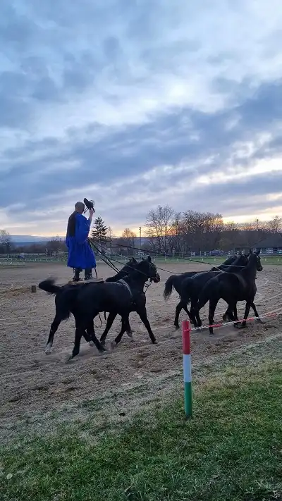 Udruga Laganini Prelog (1) Udruga Laganini Prelog (1)