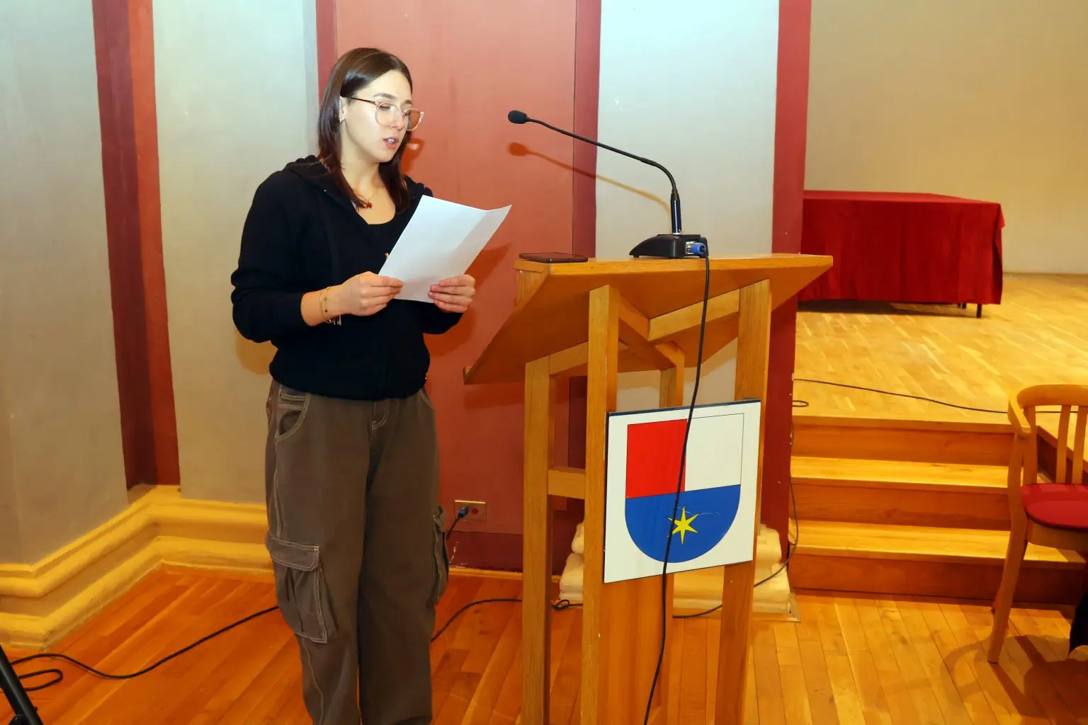 Udruga Mlada Pera (10)