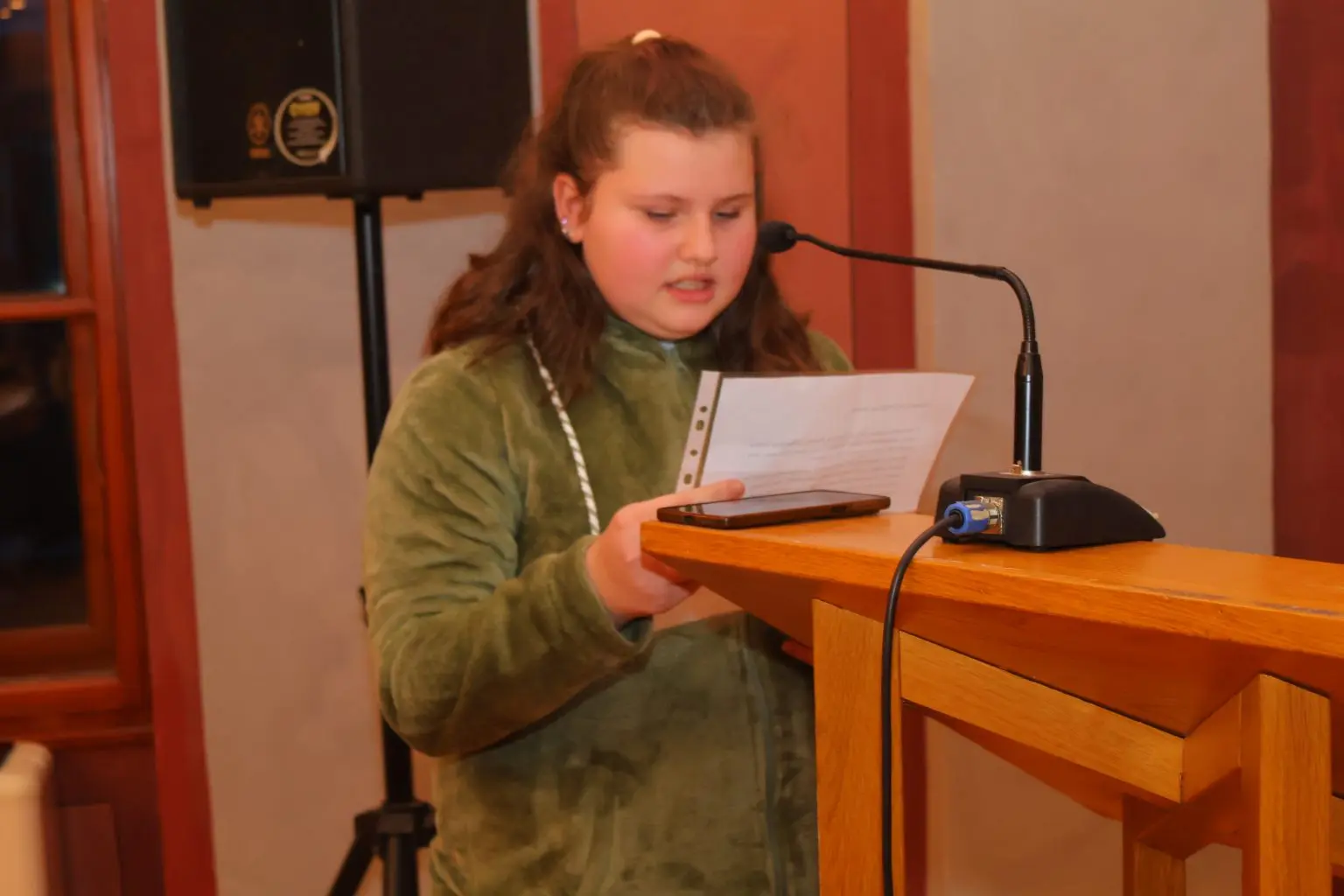 Udruga Mlada Pera (29)