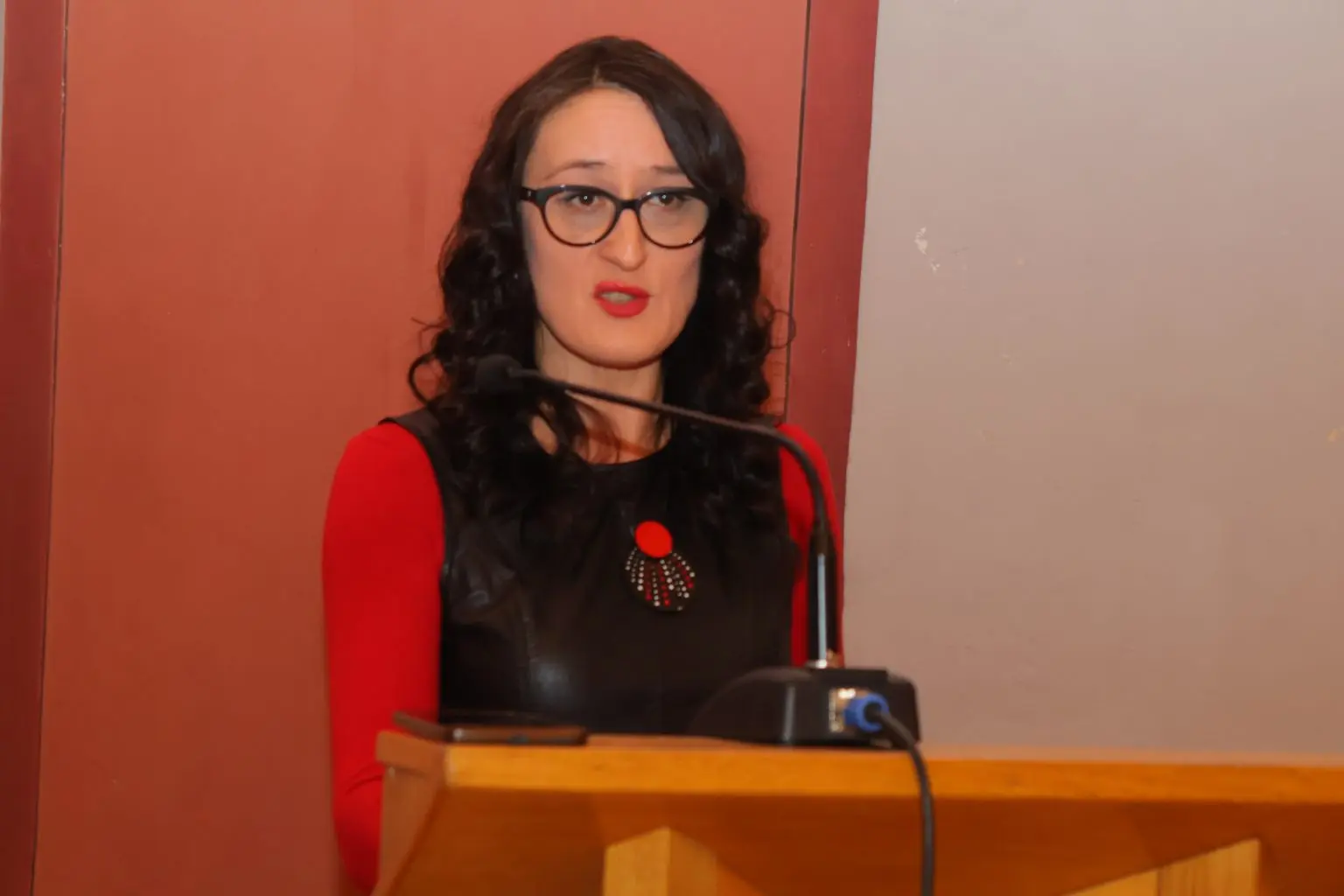 Udruga Mlada Pera (4)