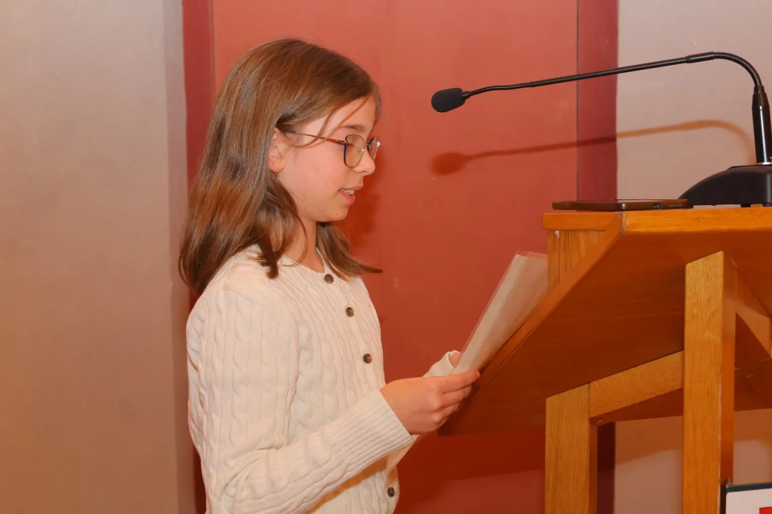 Udruga Mlada Pera (6)