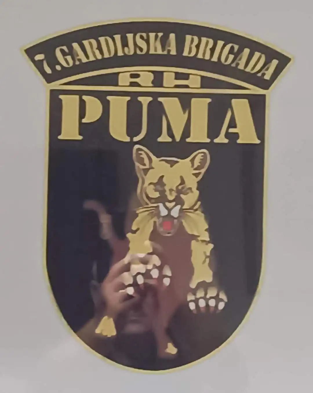 Udruga Puma likovna kolonija (3) Udruga Puma likovna kolonija (3)