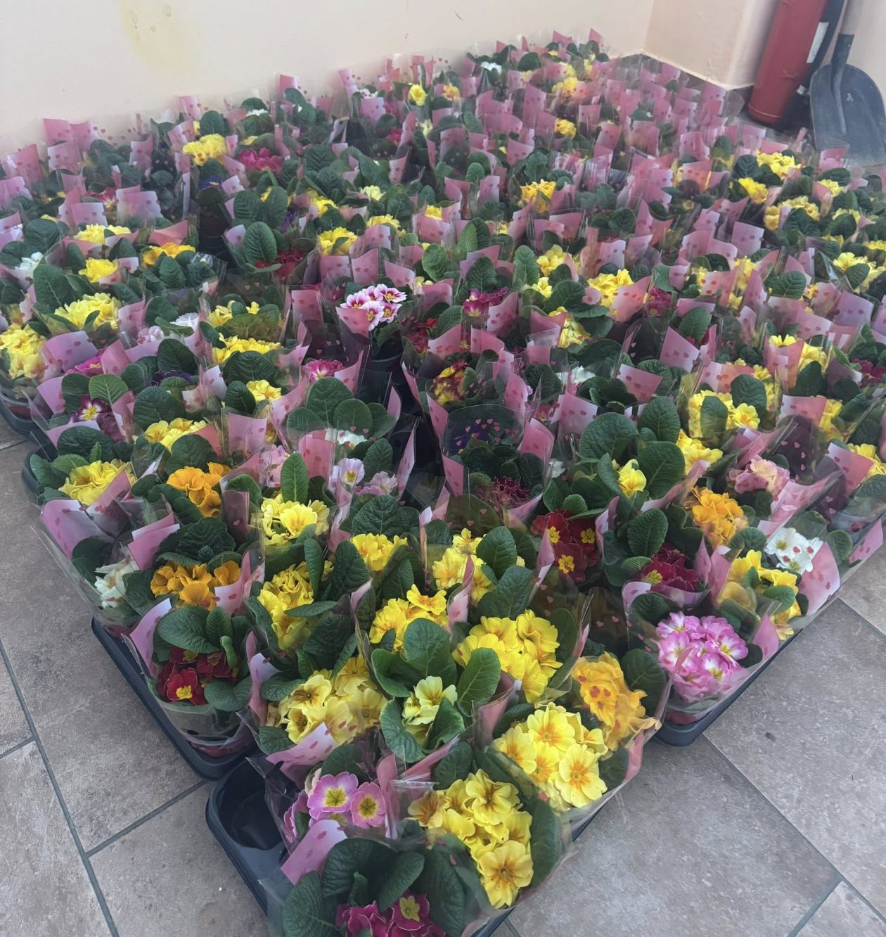 Udruga građana Gardruža dan žena (15)