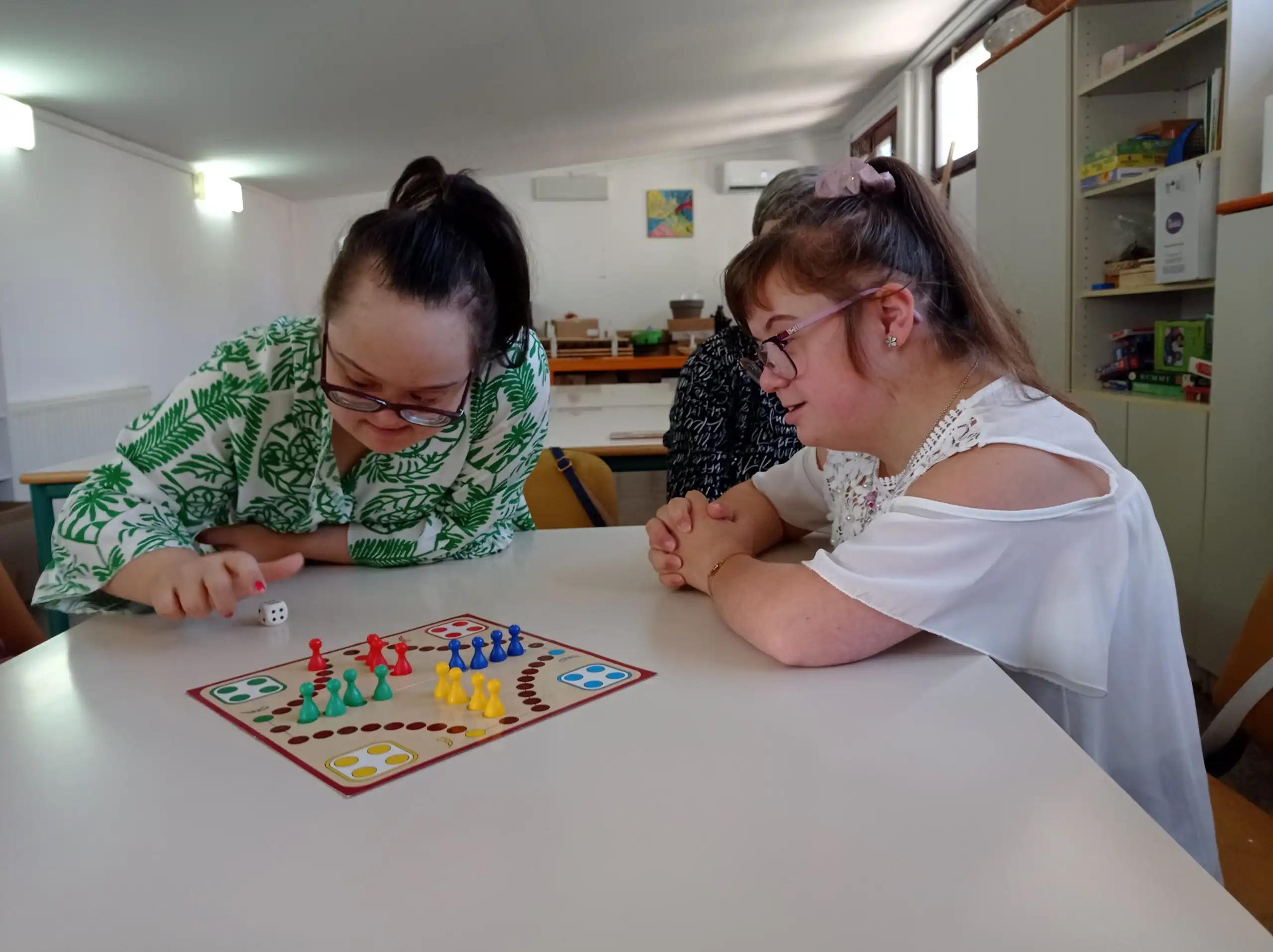 Udruga osoba s intelektualnim teškoćama Međimurske županije (2) Udruga osoba s intelektualnim teškoćama Međimurske županije (2)