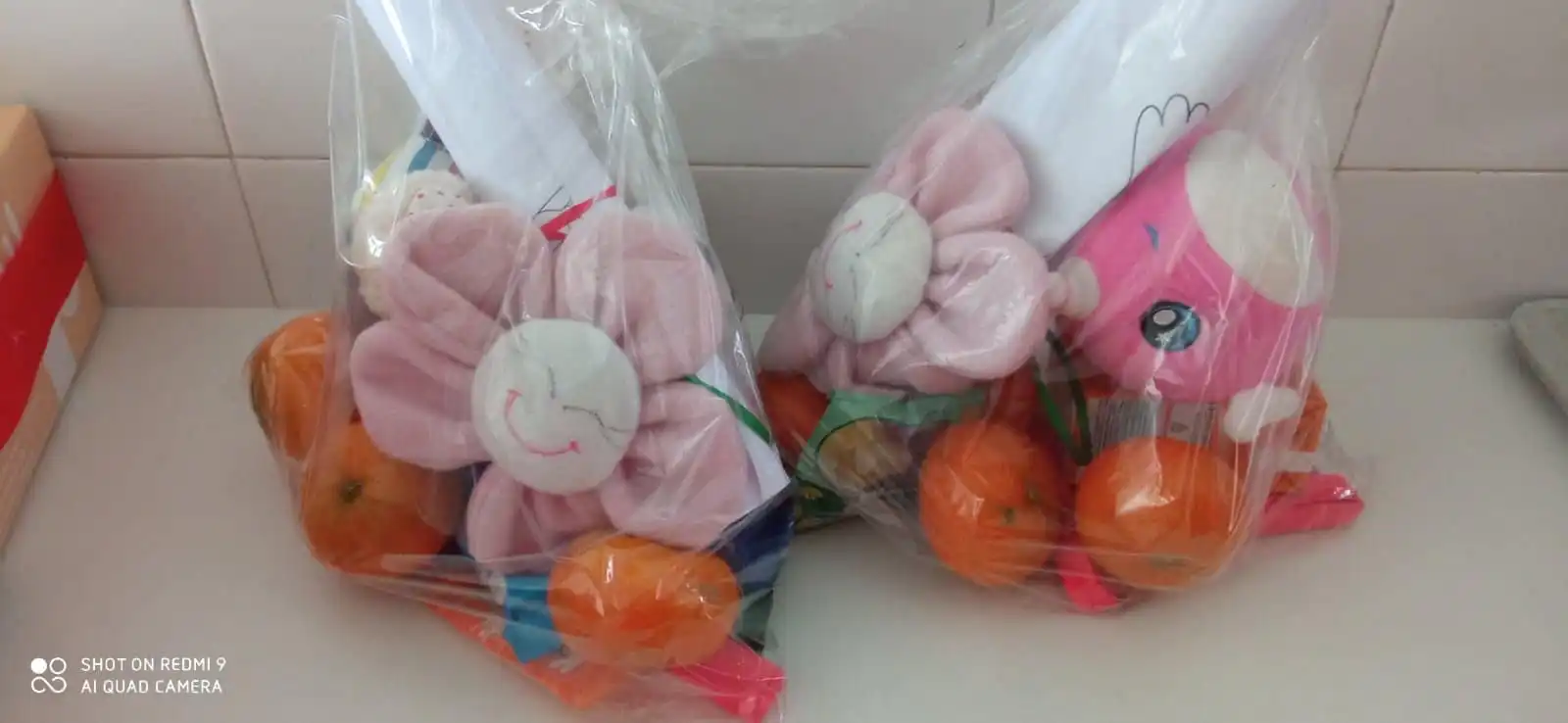 Udruga umirovljenika Prelog,bolnica,radovi (4)