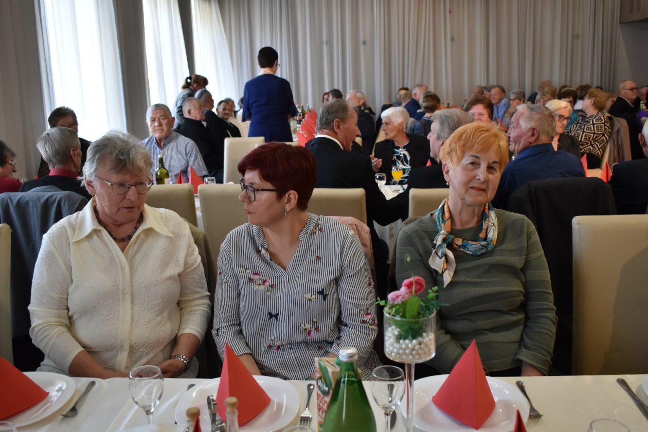 Udruga umirovljenika grada Preloga izborna skupština TK (11)