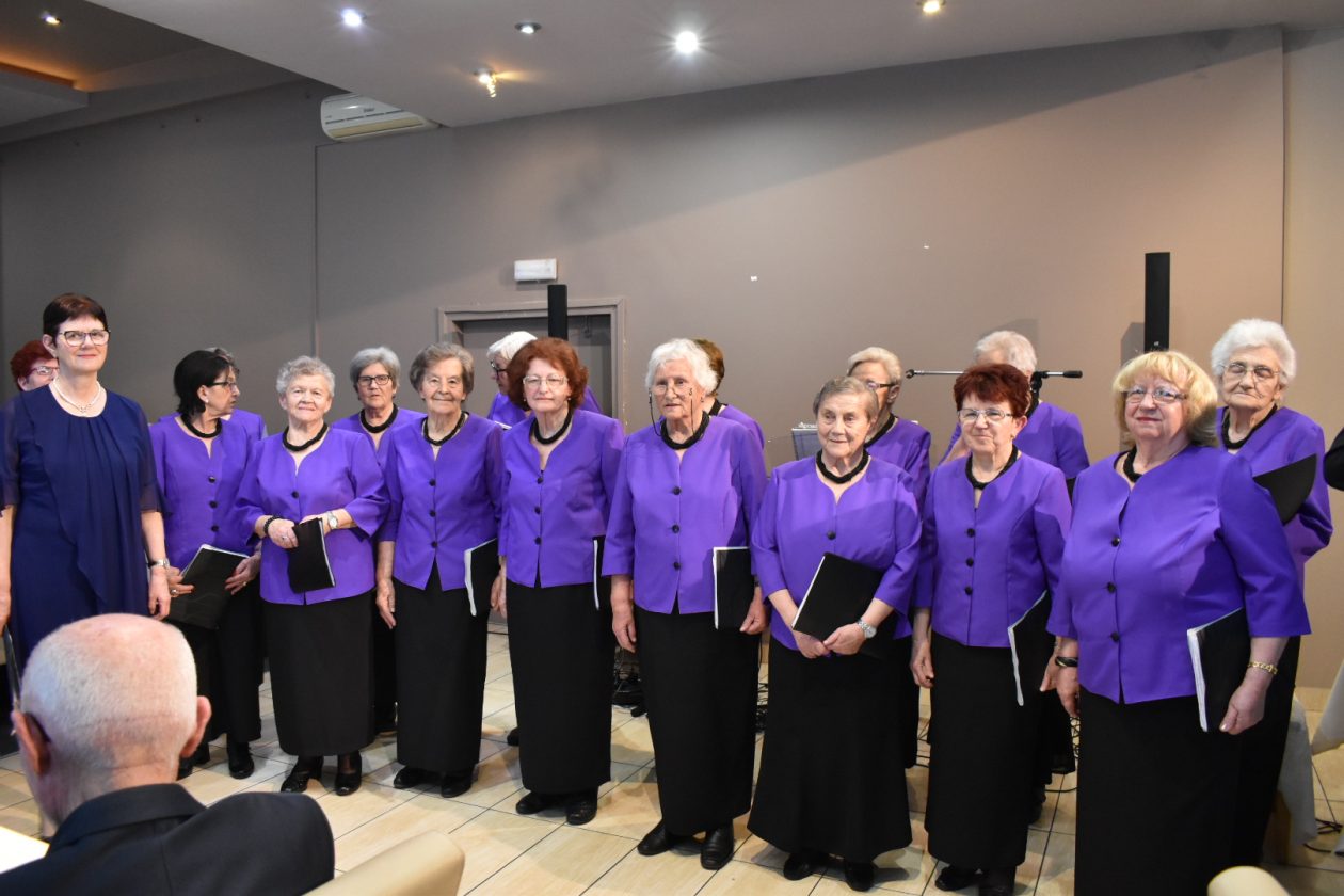 Udruga umirovljenika grada Preloga izborna skupština TK (22)