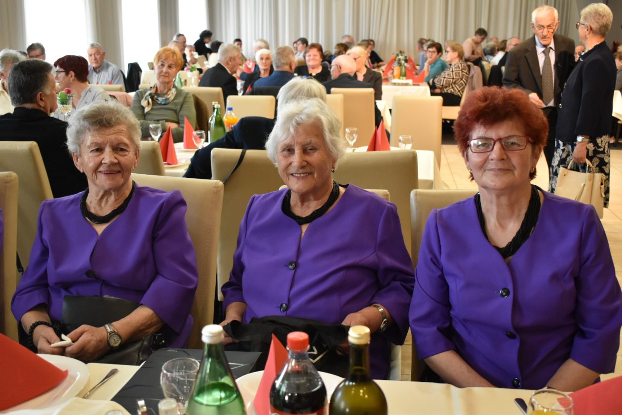 Udruga umirovljenika grada Preloga izborna skupština TK (3)