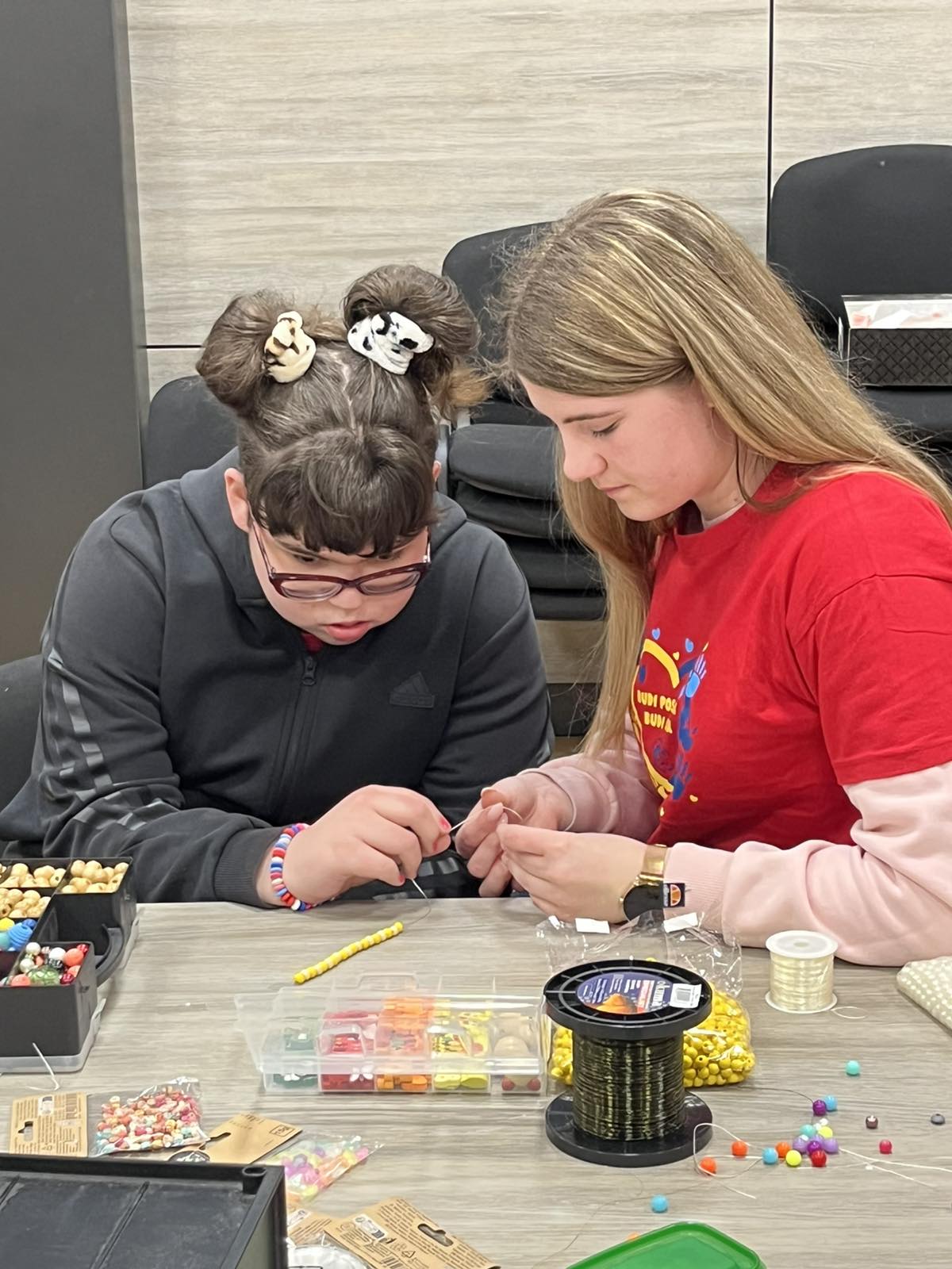 Udruga za sindrom Down Međimurske županije (16)