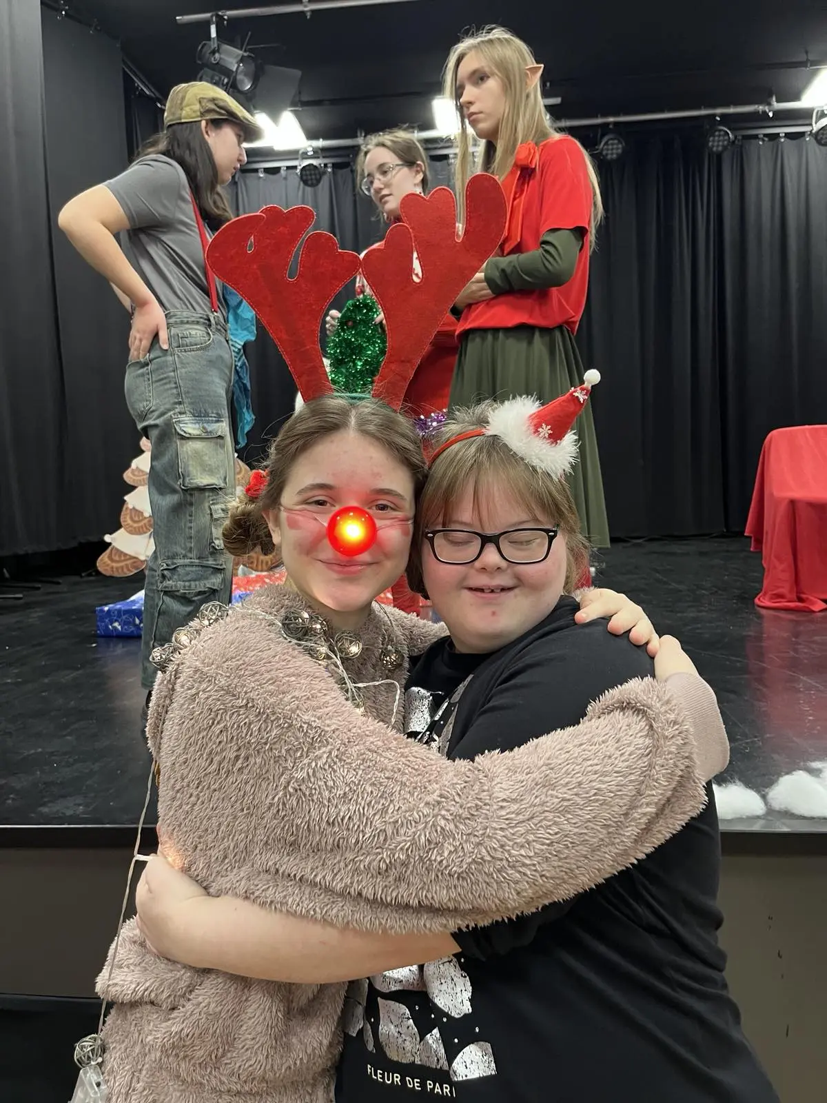 Udruga za sindrom dowm MŽ božićno druženje (53)