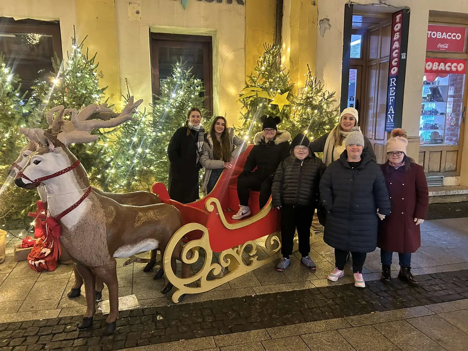 Udruga za sindrom down MŽ advent (11)