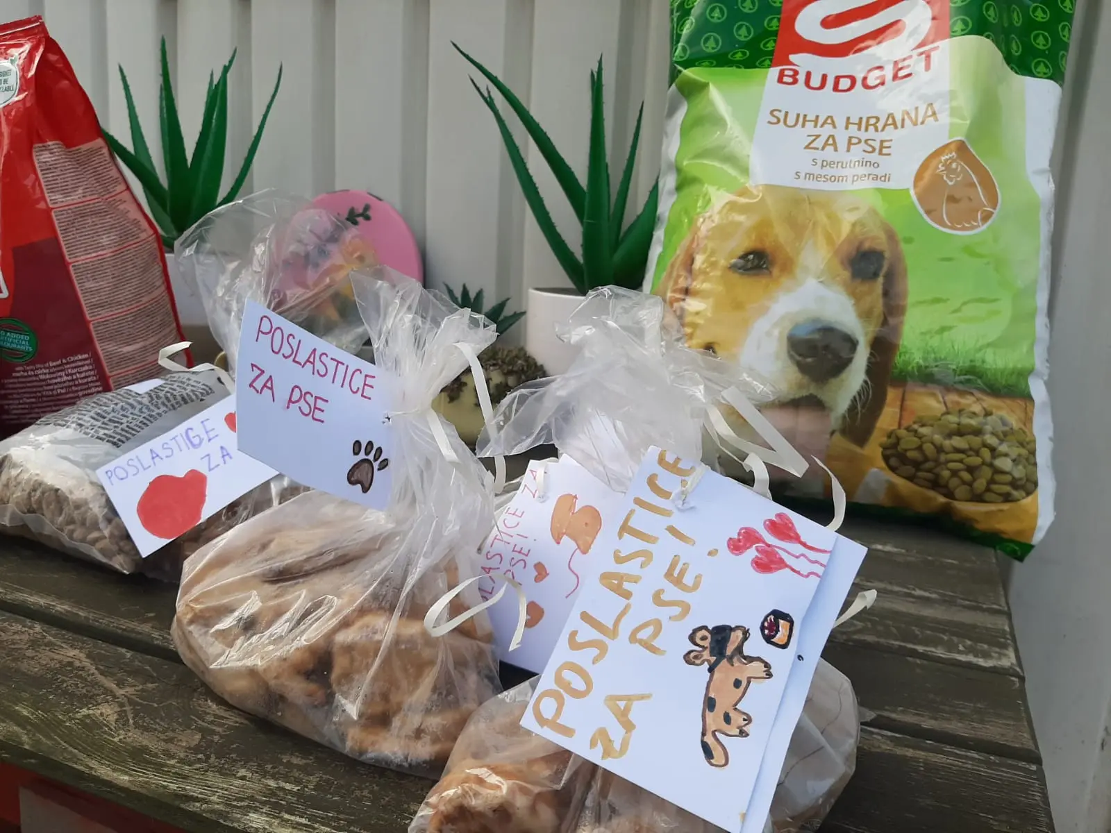 Udruga za sindrom down Međimurske županije Azil posjet (5)