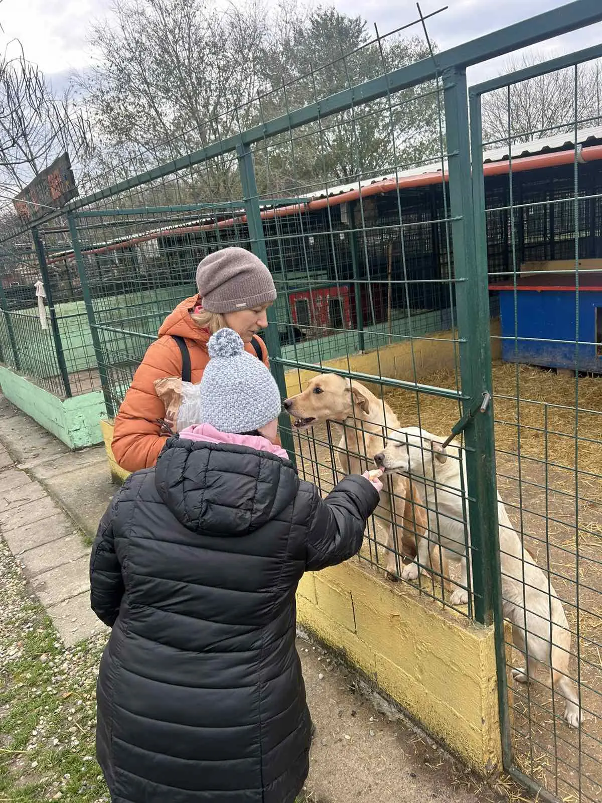Udruga za sindrom down Međimurske županije Azil posjet (9)