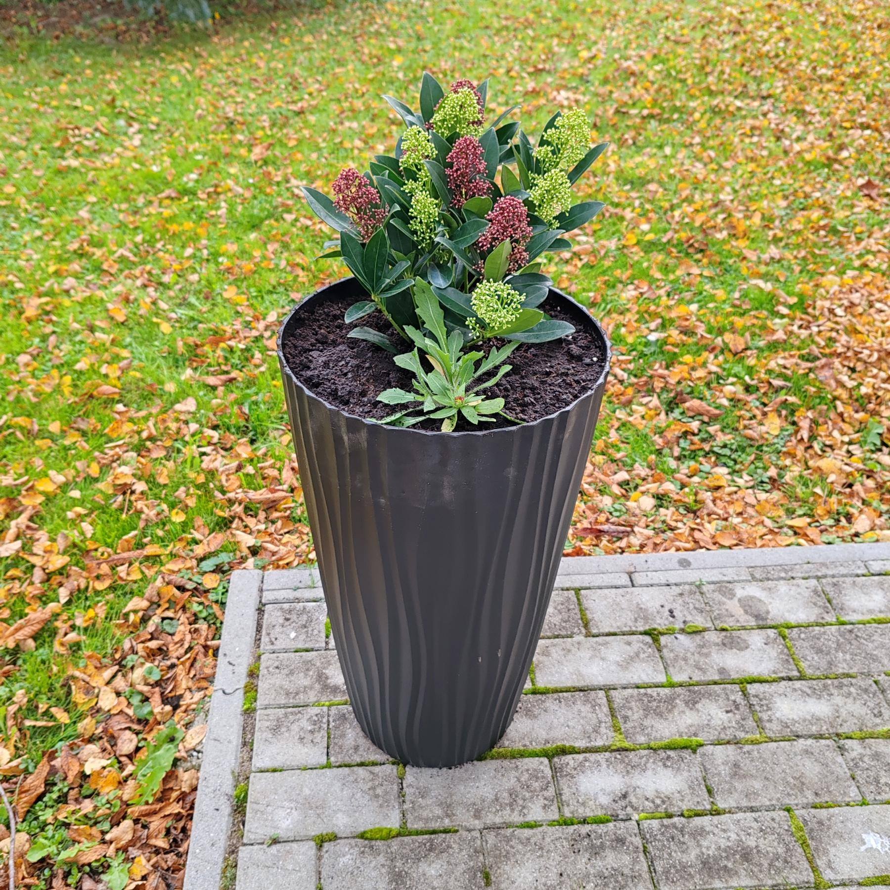 Udruga žena Črečan (1)