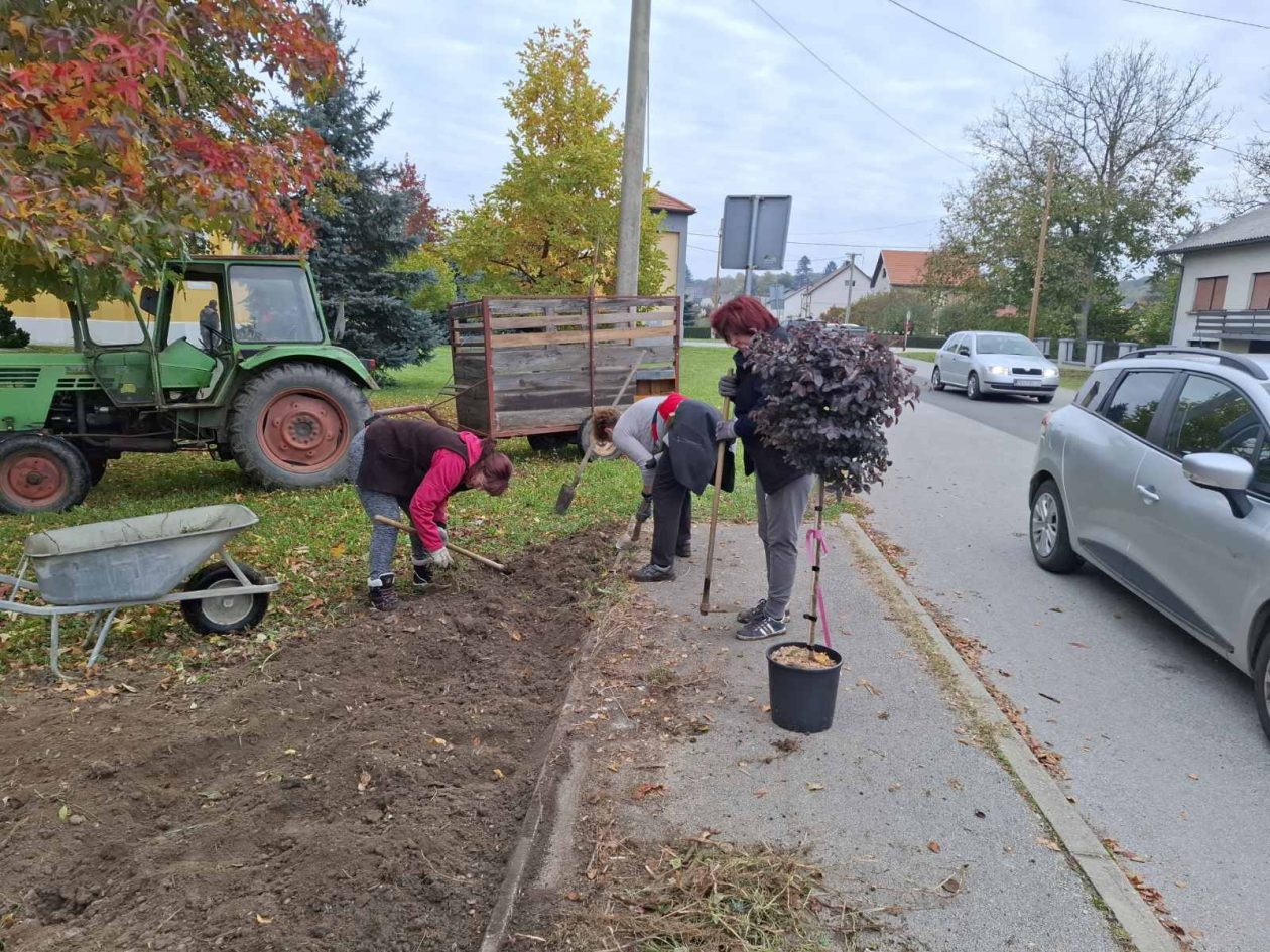Udruga žena Črečan (5)