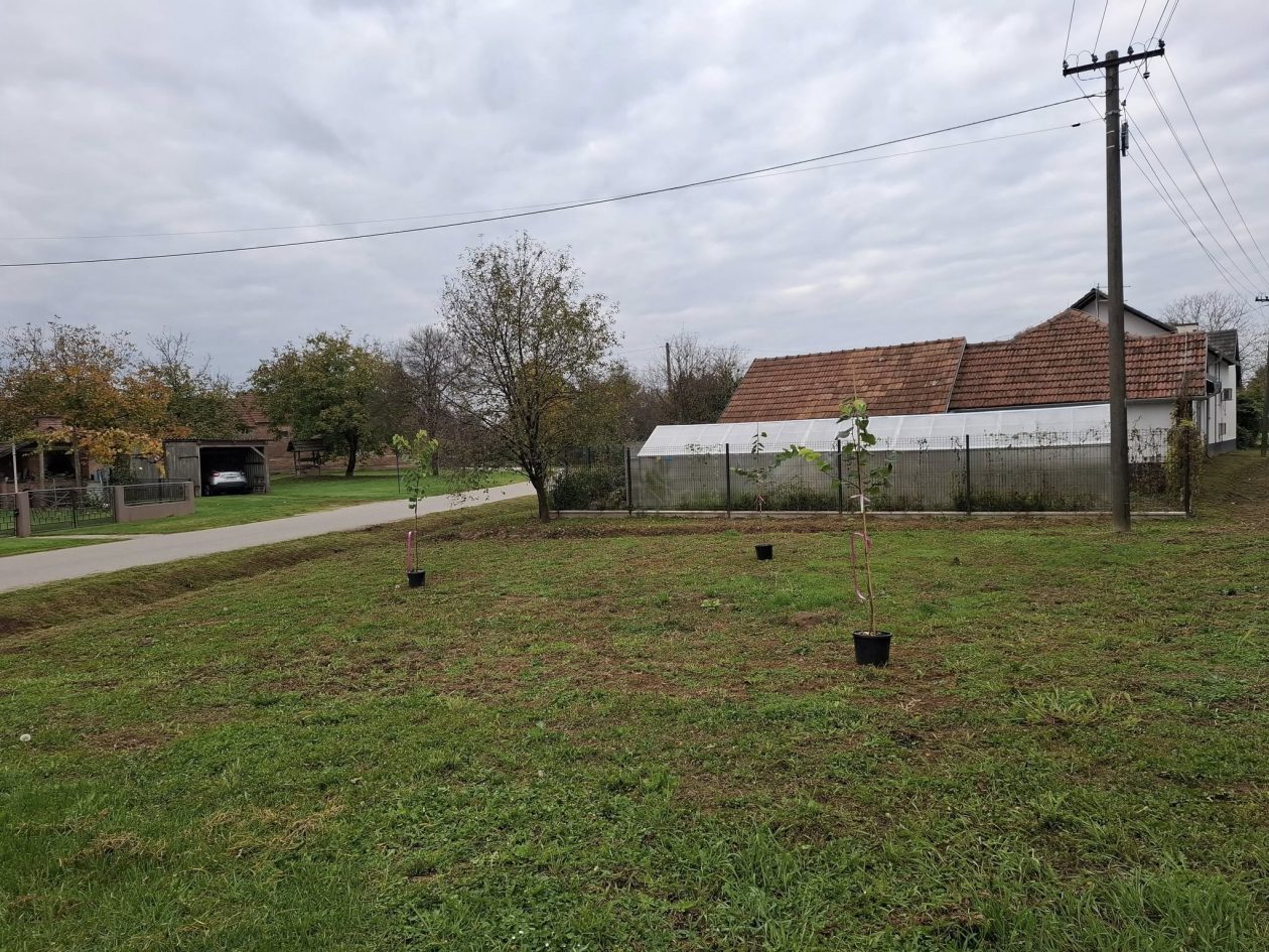 Udruga žena Črečan (7)