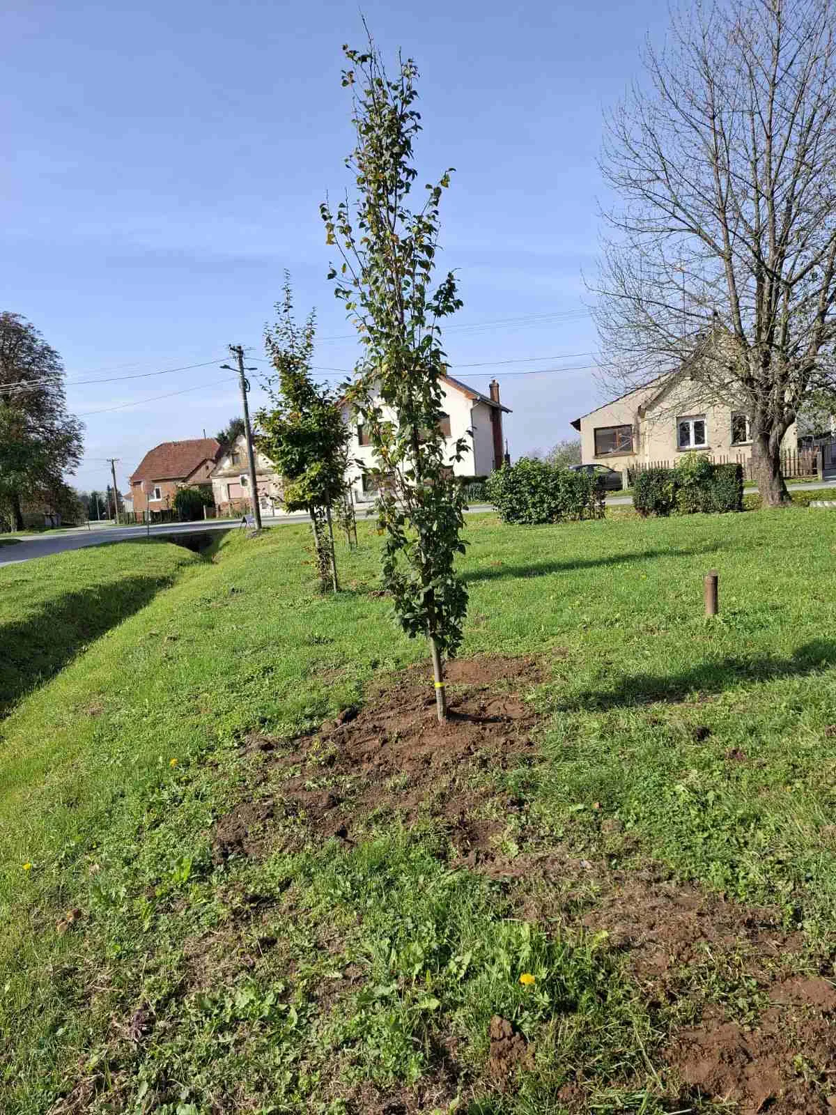Udruga žena Črečan uspješno uredila okoliš oko kapelice u sklopu projekta ‘Zelena agenda’ (5) Udruga žena Črečan uspješno uredila okoliš oko kapelice u sklopu projekta ‘Zelena agenda’ (5)