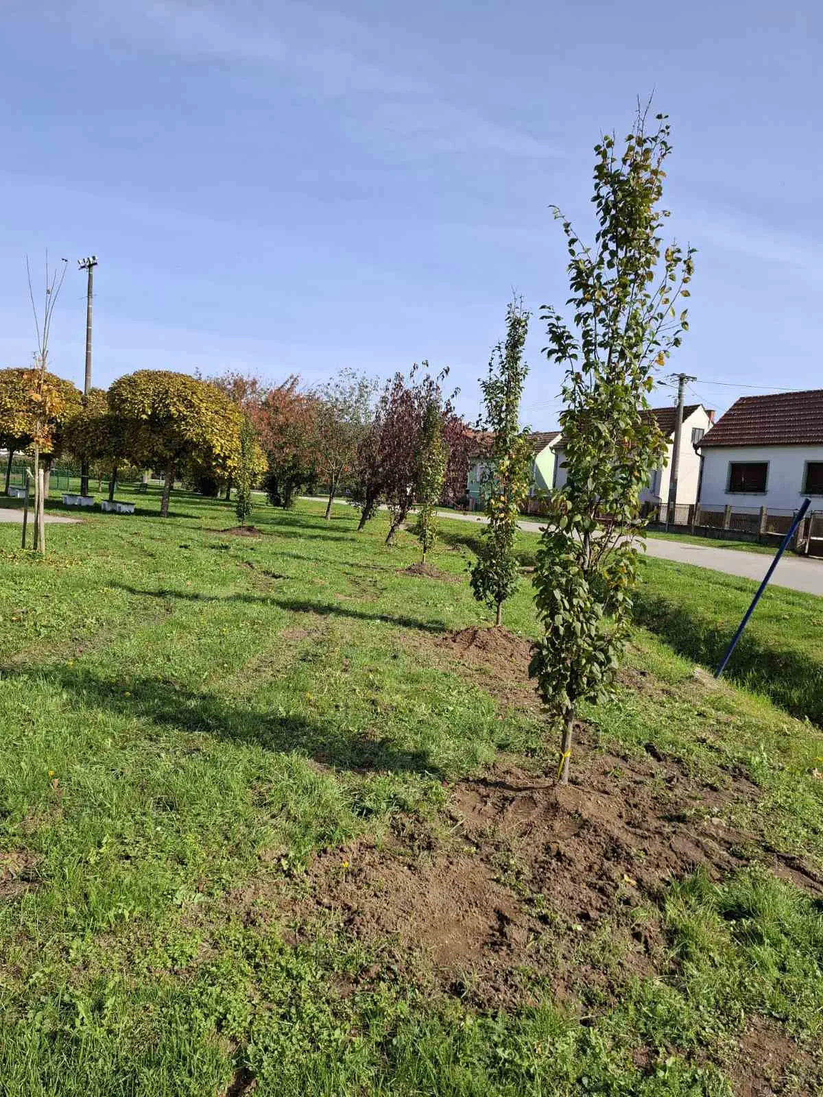 Udruga žena Črečan uspješno uredila okoliš oko kapelice u sklopu projekta ‘Zelena agenda’ (8) Udruga žena Črečan uspješno uredila okoliš oko kapelice u sklopu projekta ‘Zelena agenda’ (8)
