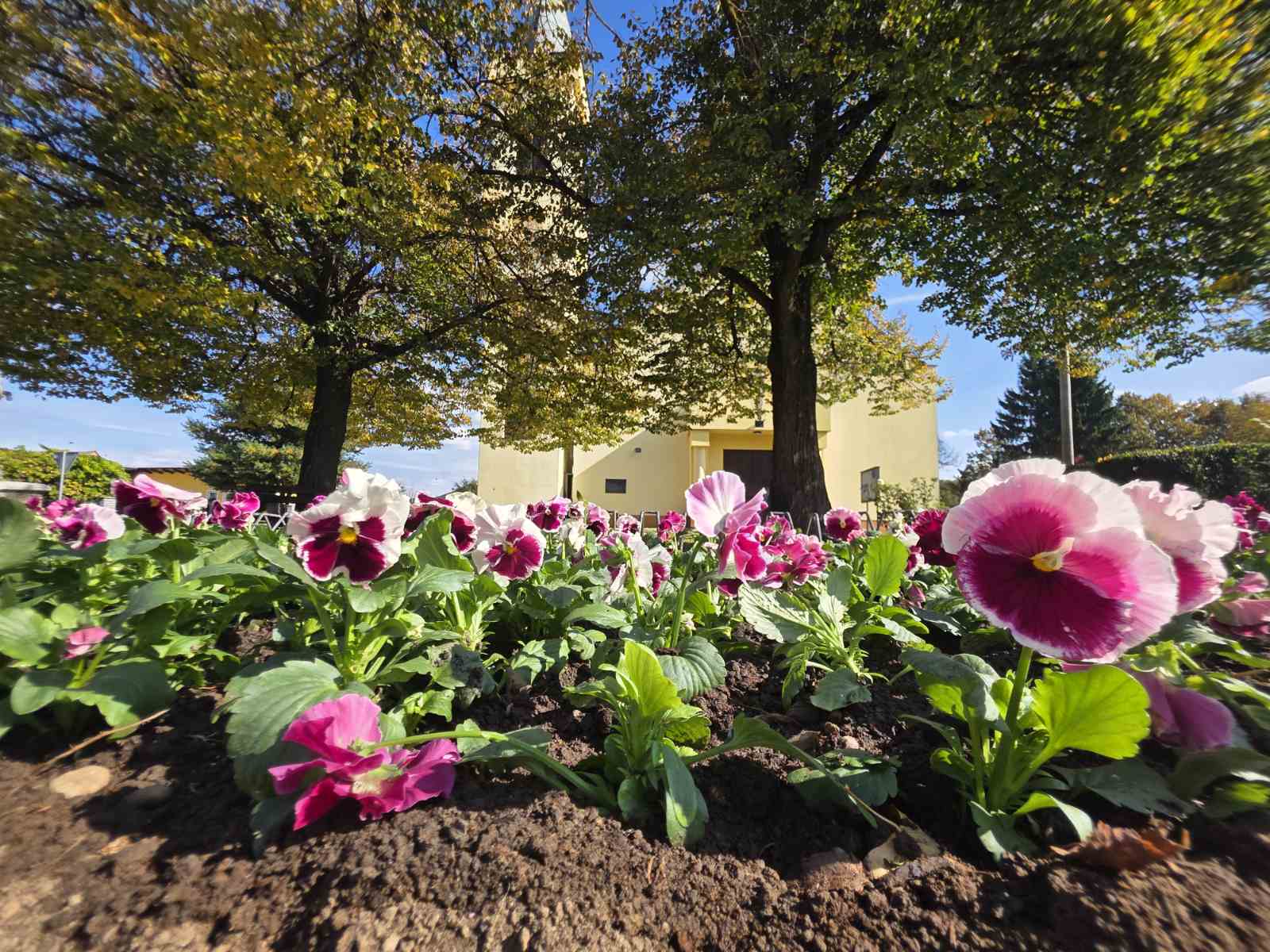 Udruga žena Hlapičina (11) Udruga žena Hlapičina (11)