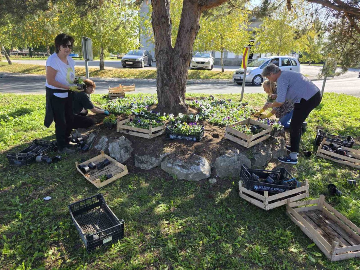 Udruga žena Hlapičina (12)