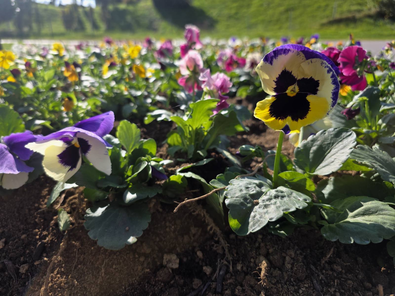 Udruga žena Hlapičina (14) Udruga žena Hlapičina (14)