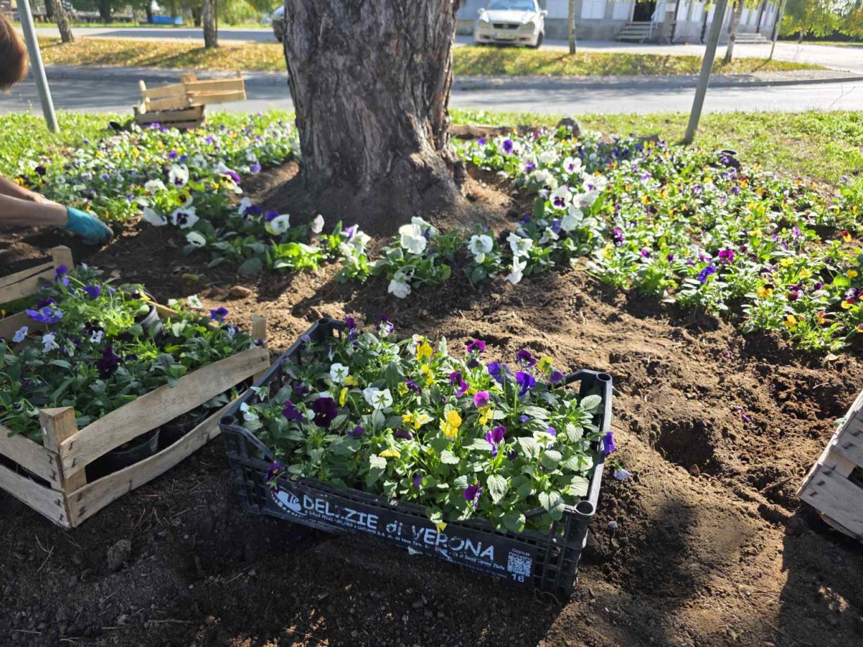 Udruga žena Hlapičina (18)