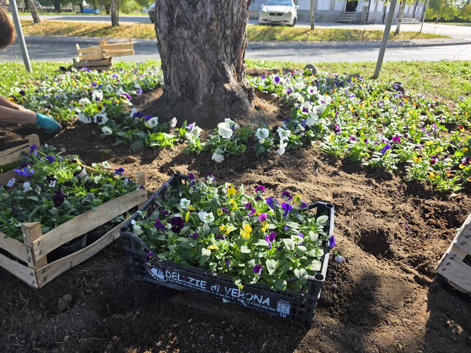 Udruga žena Hlapičina (18) Udruga žena Hlapičina (18)