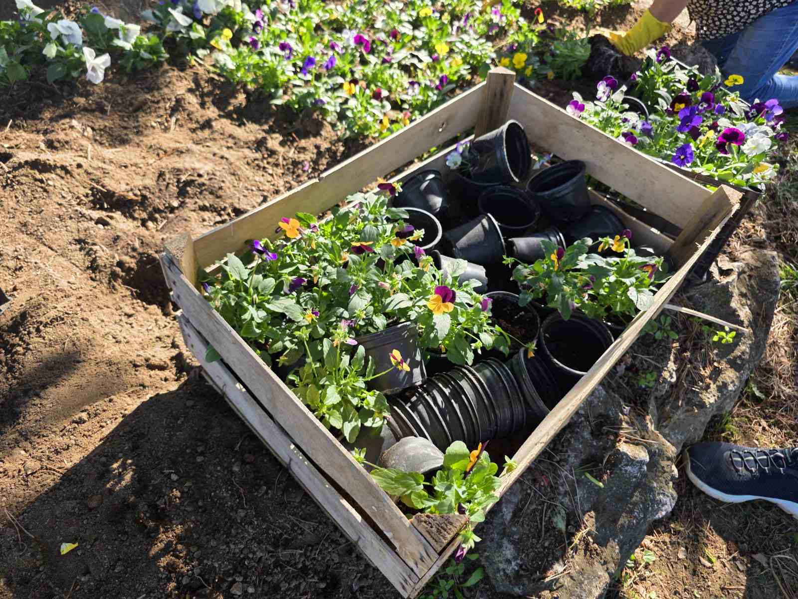 Udruga žena Hlapičina (2) Udruga žena Hlapičina (2)