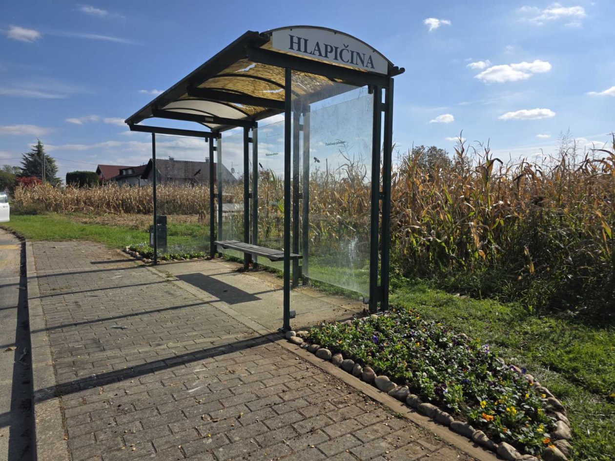 Udruga žena Hlapičina (20)