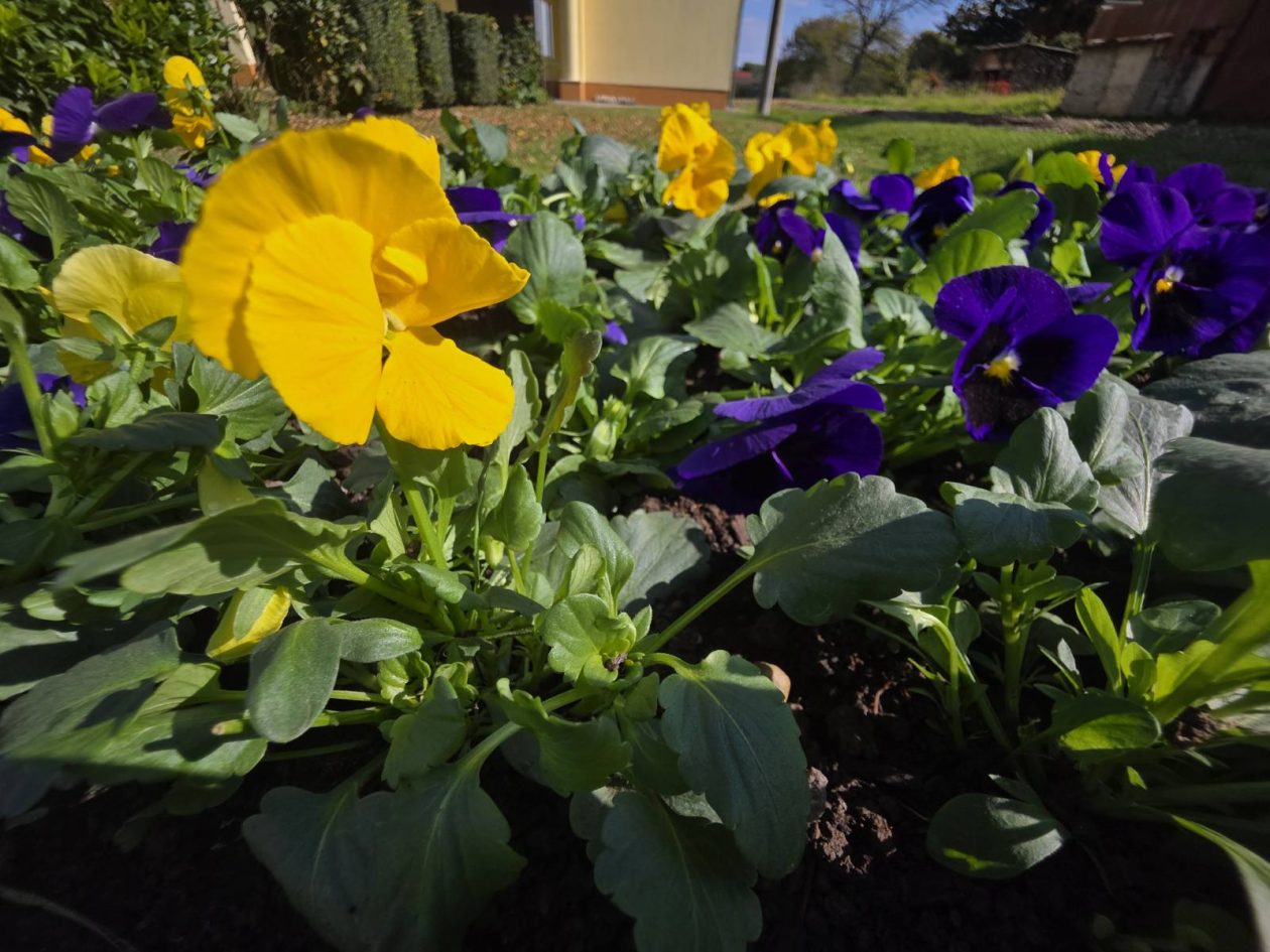 Udruga žena Hlapičina (5)