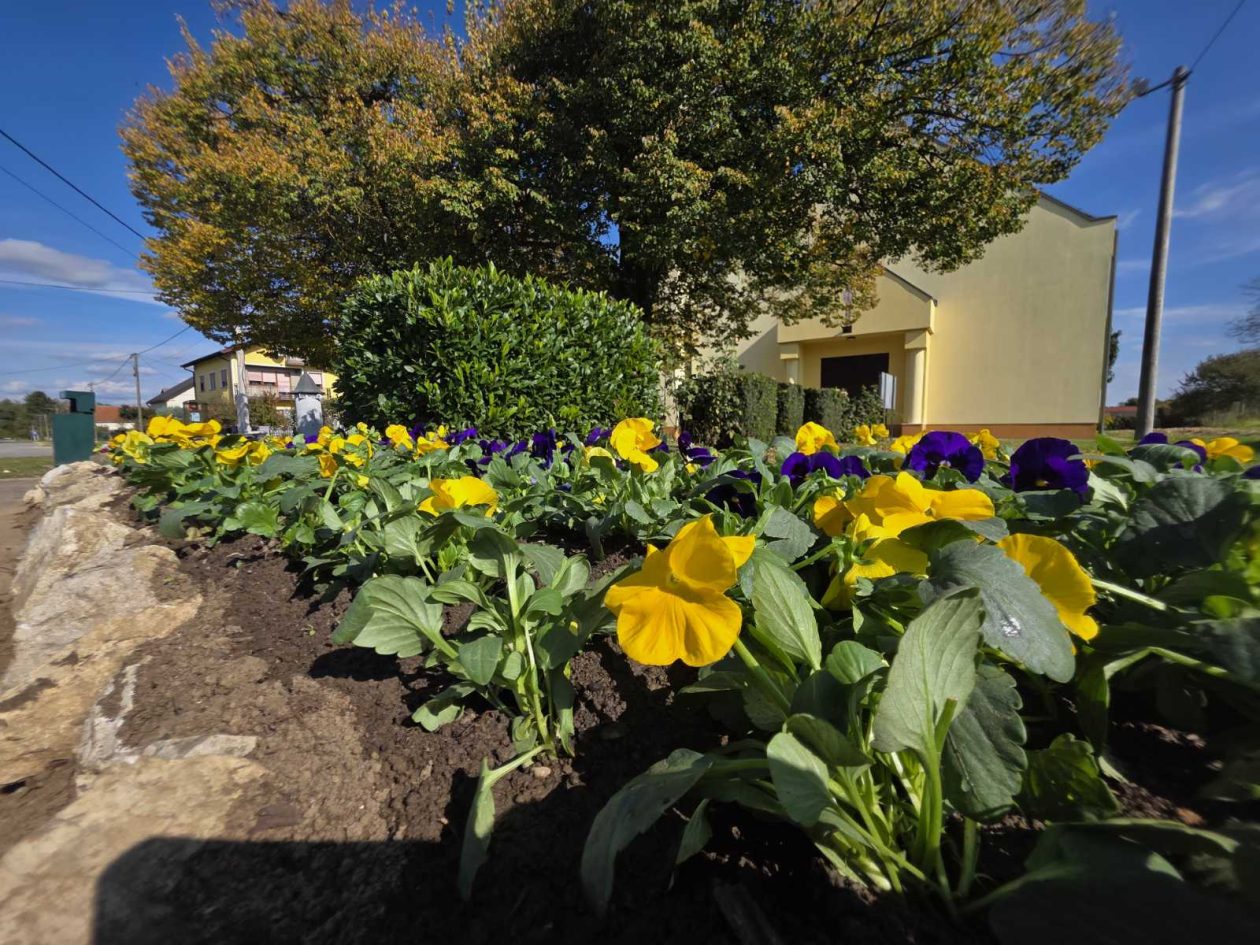 Udruga žena Hlapičina (7)