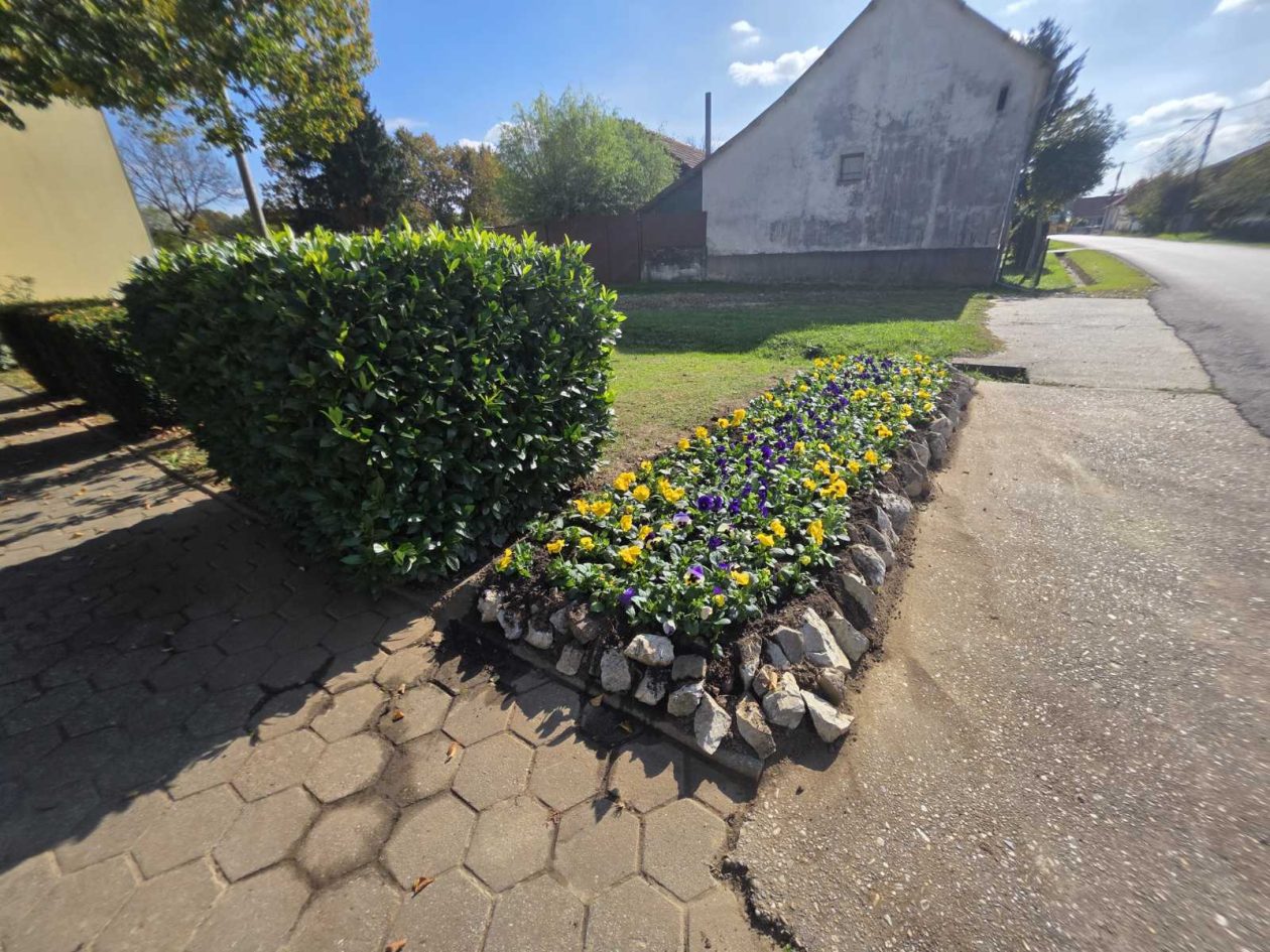 Udruga žena Hlapičina (8)