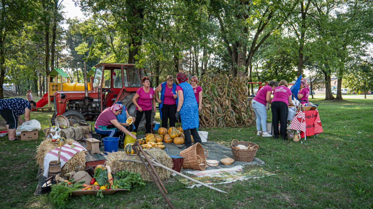 Udruga žena Savska Ves 1309-100
