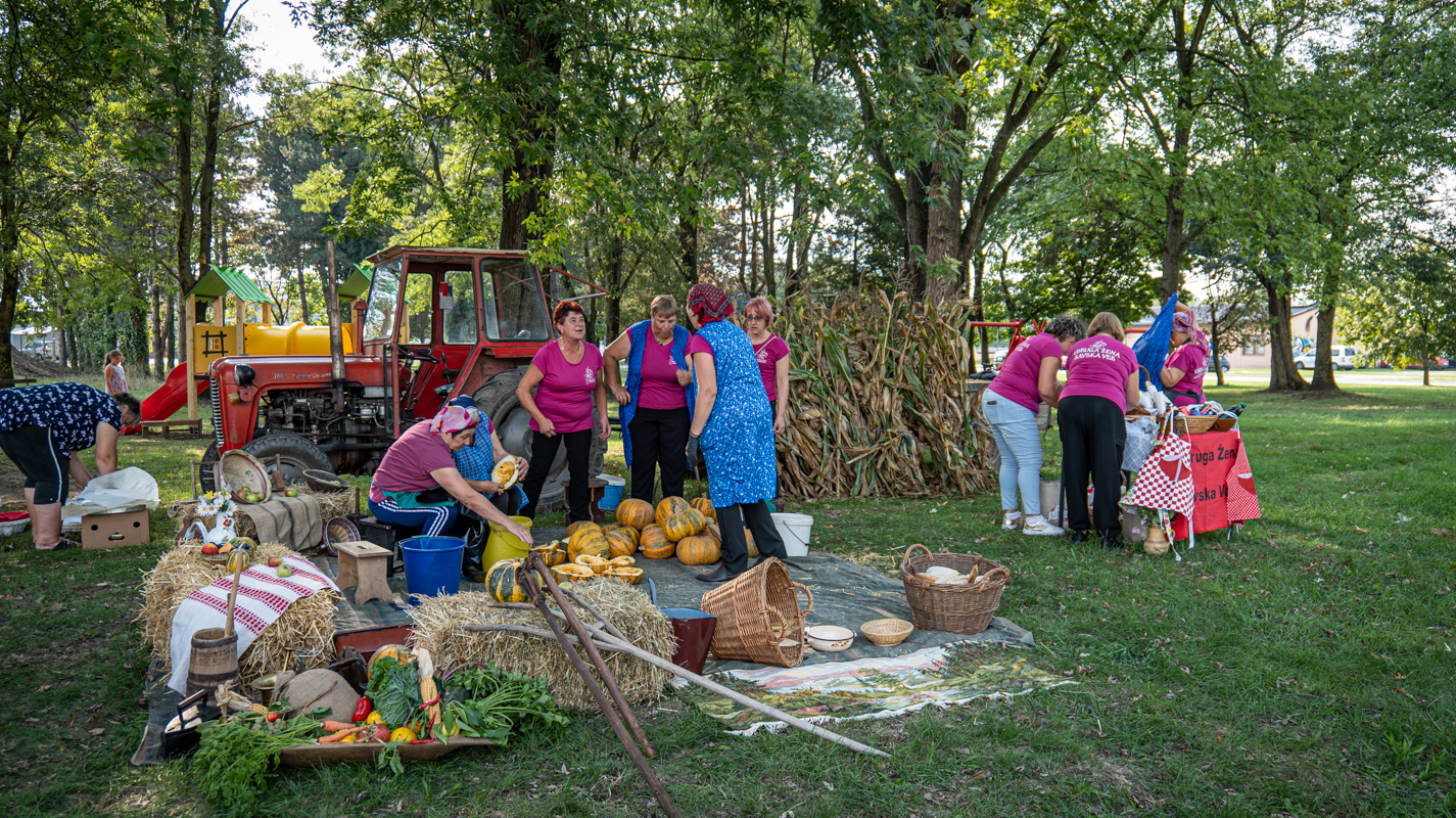 Udruga žena Savska Ves 1309-100 Udruga žena Savska Ves 1309-100