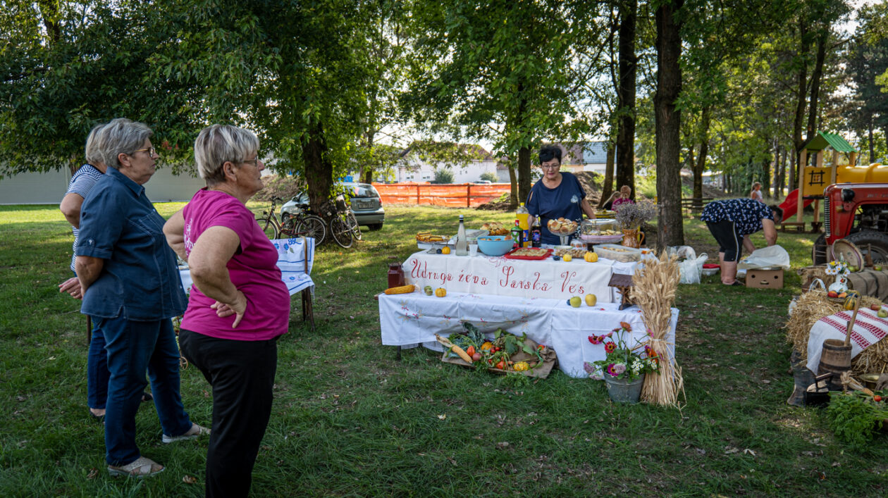 Udruga žena Savska Ves 1309-101