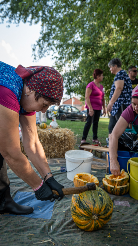 Udruga žena Savska Ves 1309-107 Udruga žena Savska Ves 1309-107