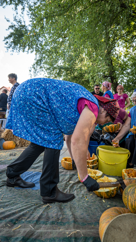 Udruga žena Savska Ves 1309-108 Udruga žena Savska Ves 1309-108