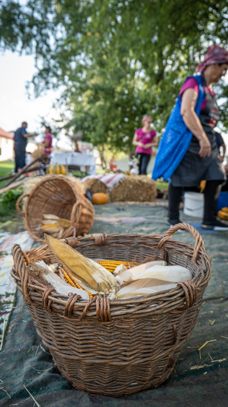 Udruga žena Savska Ves 1309-111 Udruga žena Savska Ves 1309-111