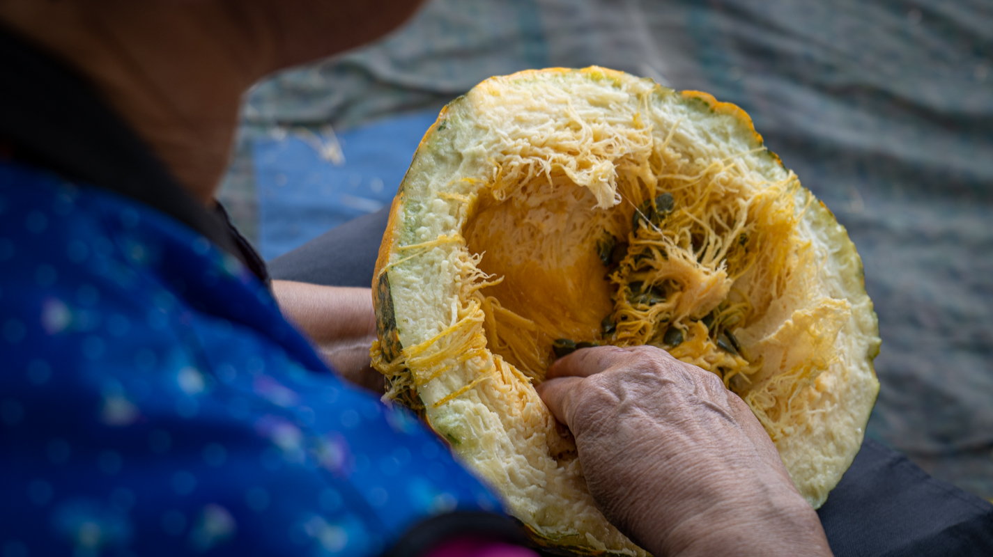 Udruga žena Savska Ves 1309-115 Udruga žena Savska Ves 1309-115