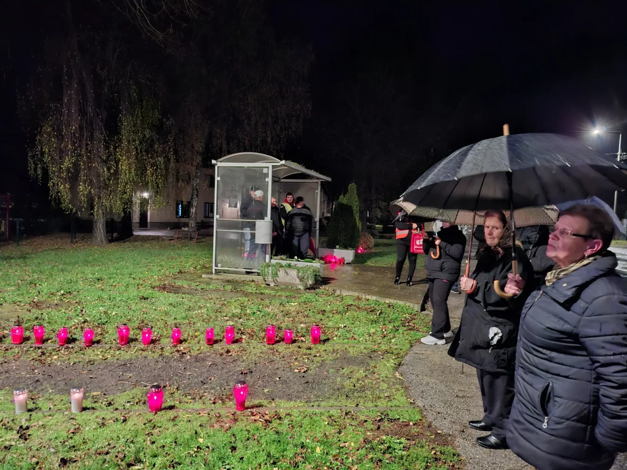 Udruga žena Sivica (2)