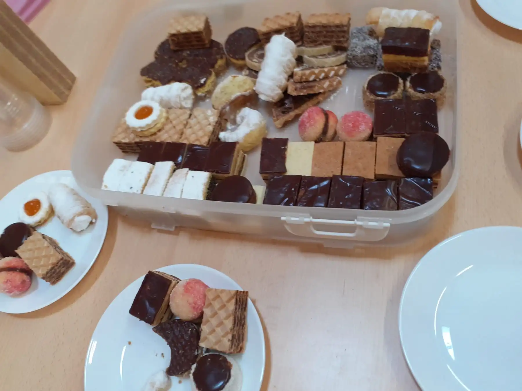 Udruga žena Strahoninec – proljetno uređivanje općine (5)