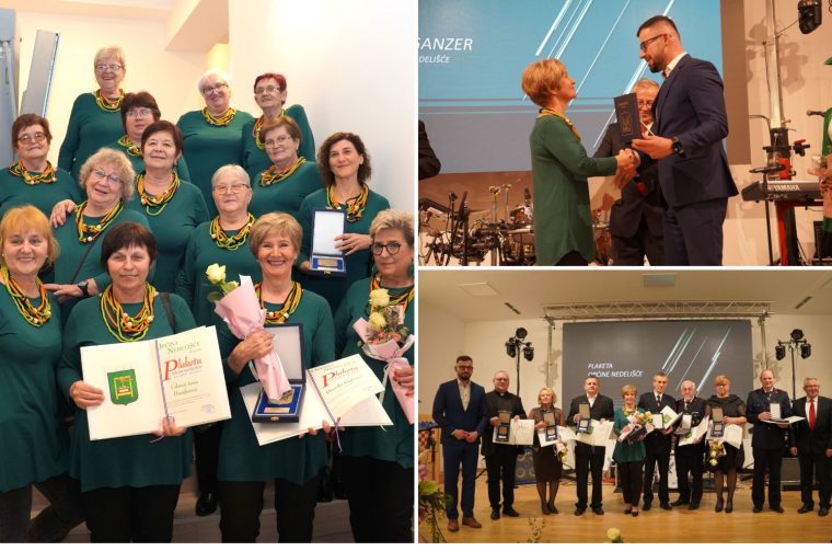 Udruga žena plaketa Udruga žena plaketa