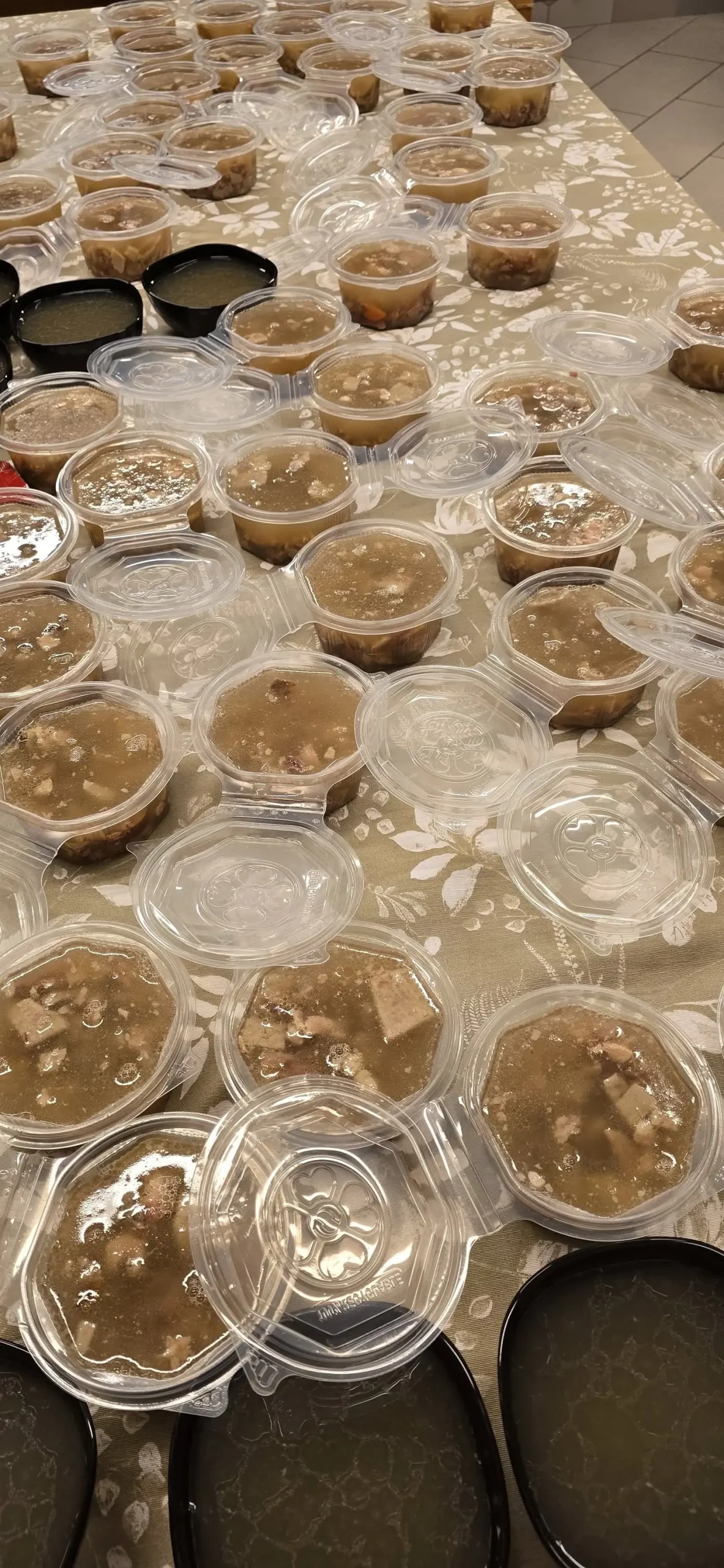 Udruga žena slakovec (3)