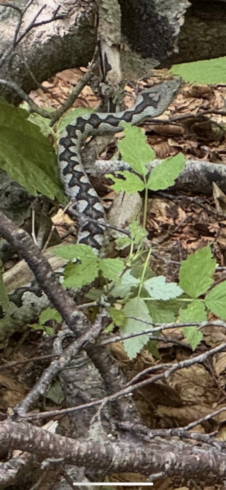 Udruge sportske rekreacije „Sport za sve“ Sveti Juraj na Bregu (15) Udruge sportske rekreacije „Sport za sve“ Sveti Juraj na Bregu (15)