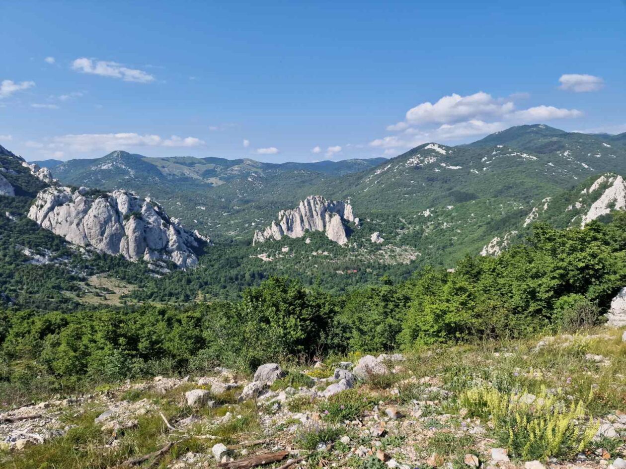 Udruge sportske rekreacije „Sport za sve“ Sveti Juraj na Bregu (17)