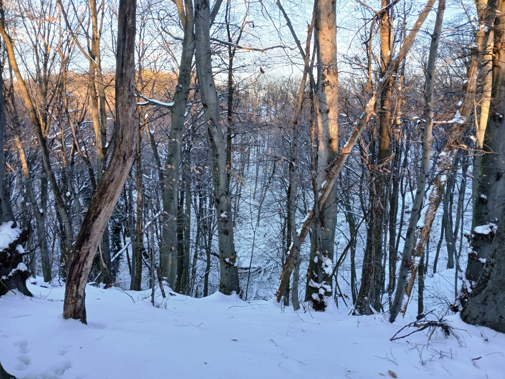 Ugljenokop Dragoslavec (3)