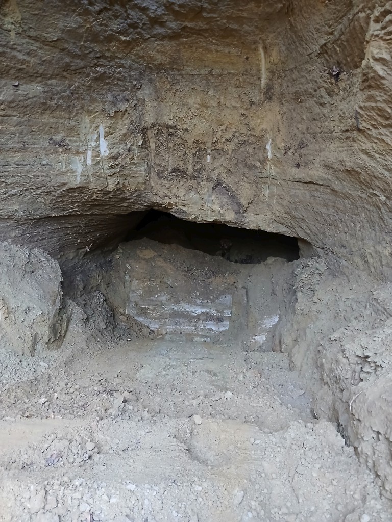 Ugljenokop Dragoslavec (4)