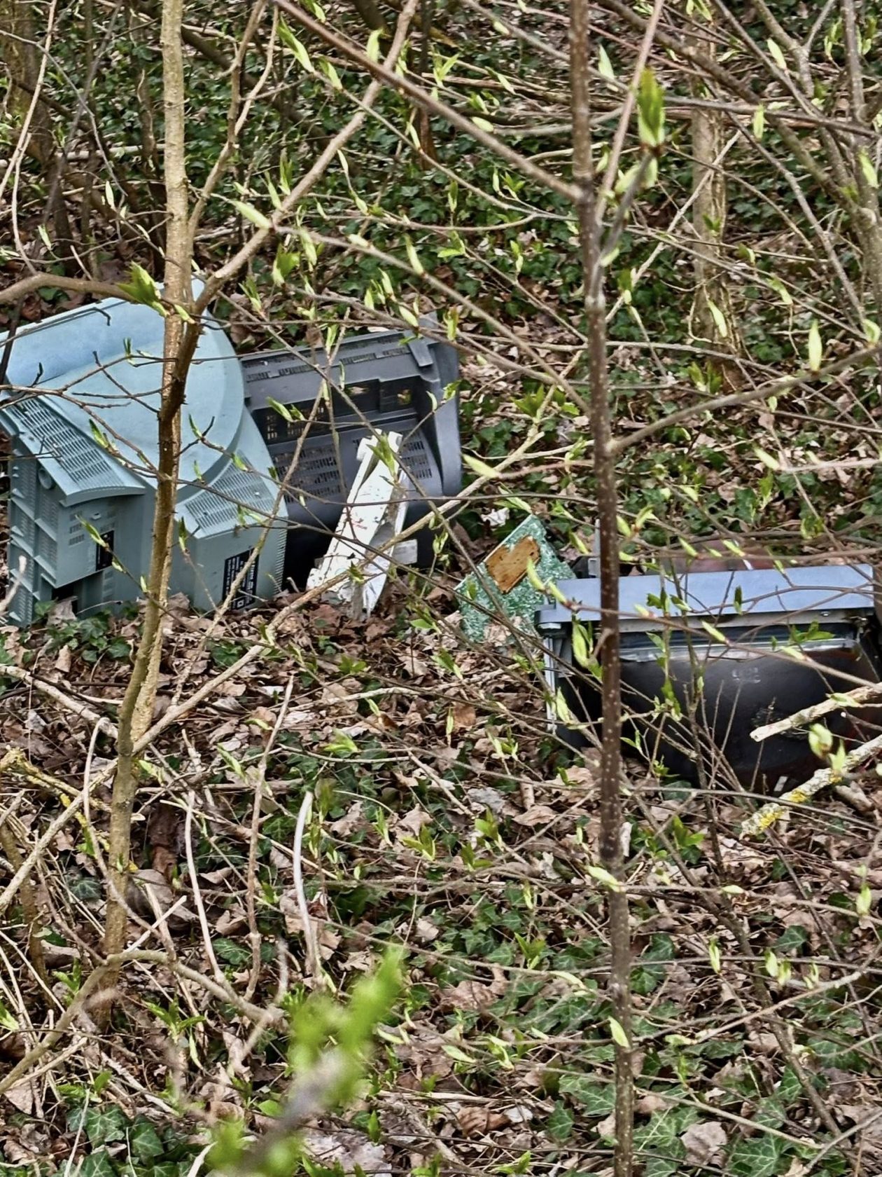 Umirovljenici Donja Dubrava čišćenje (32)