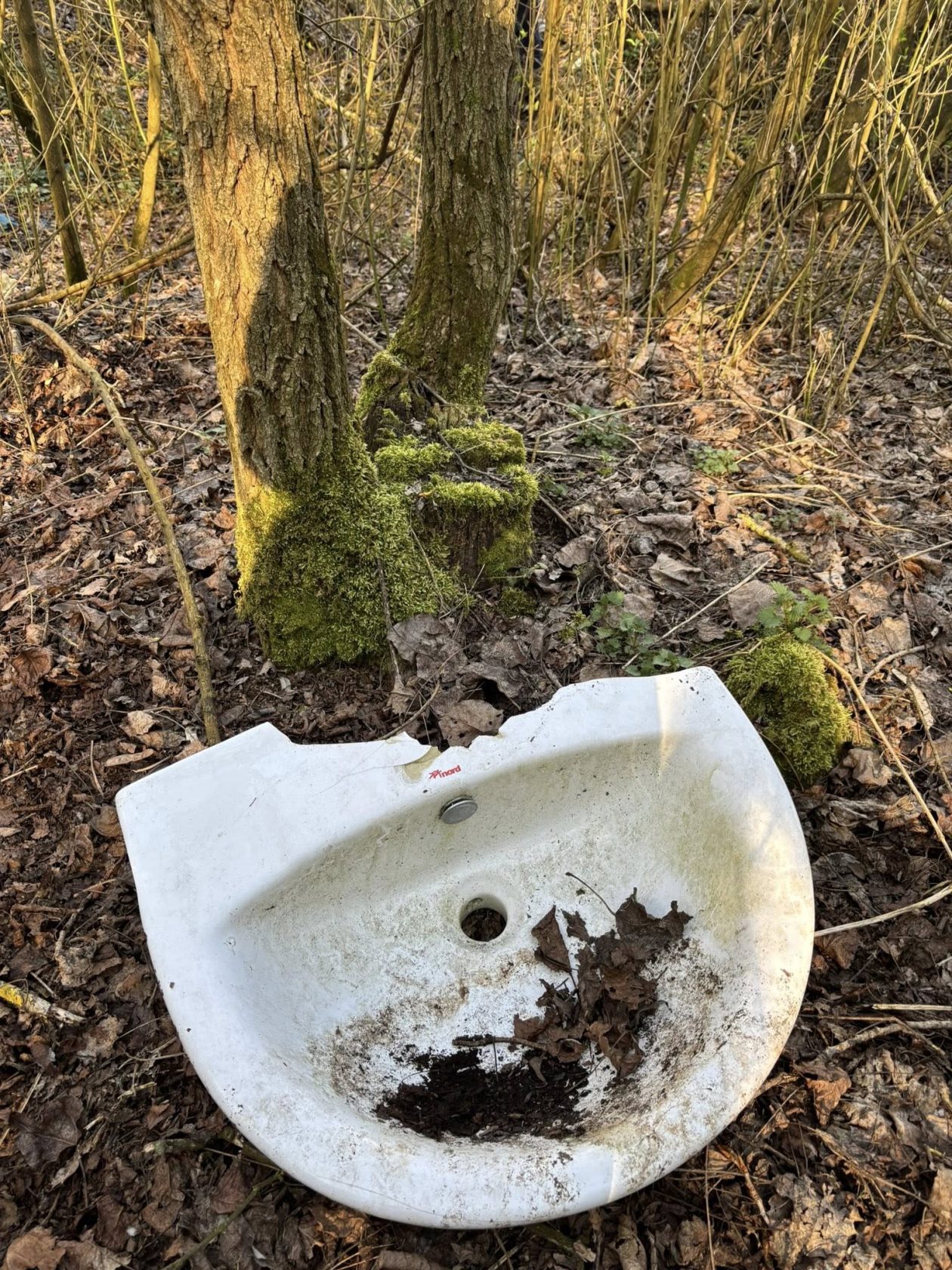 Umirovljenici Donja Dubrava čišćenje (33)