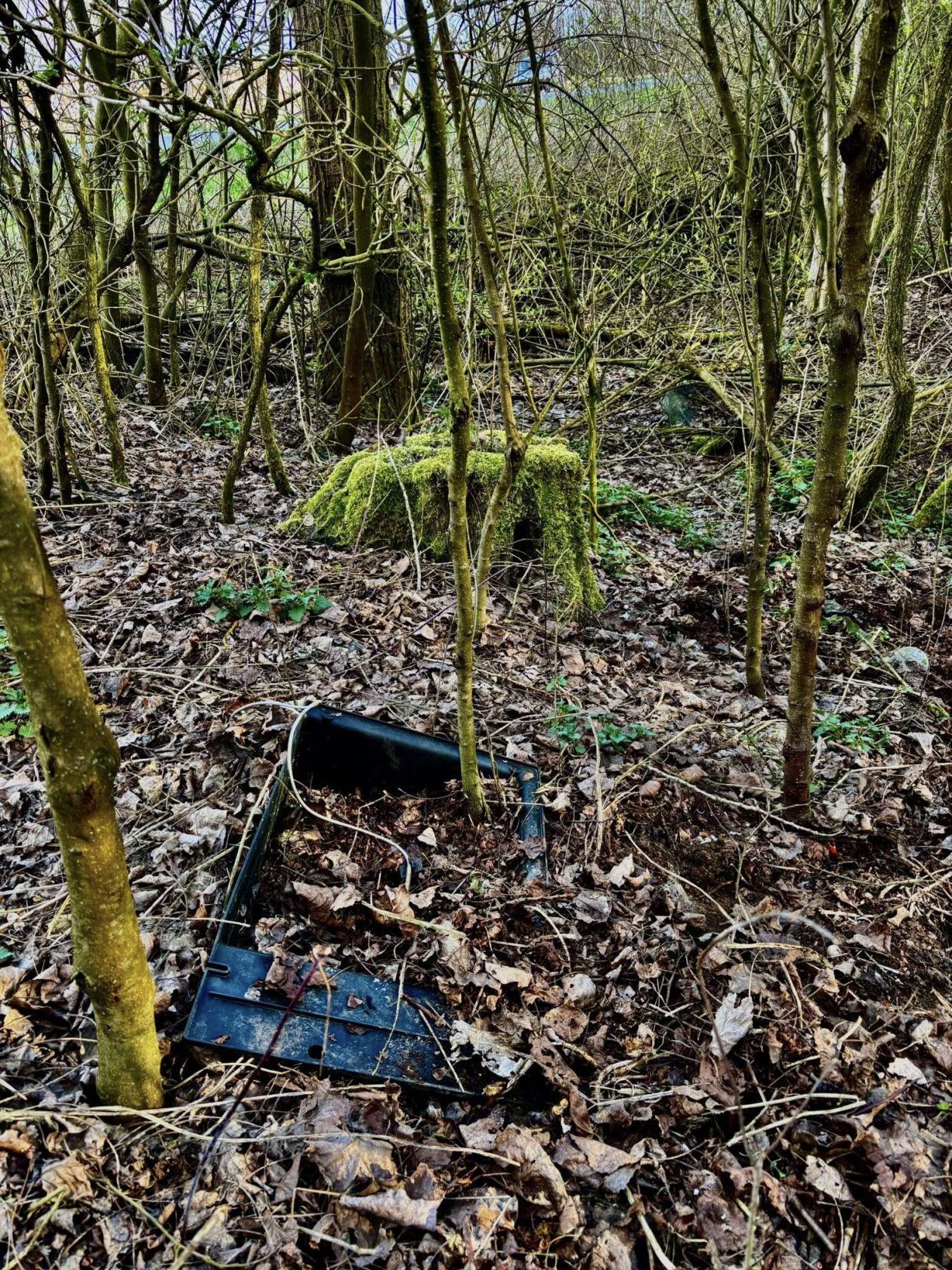 Umirovljenici Donja Dubrava čišćenje (34)